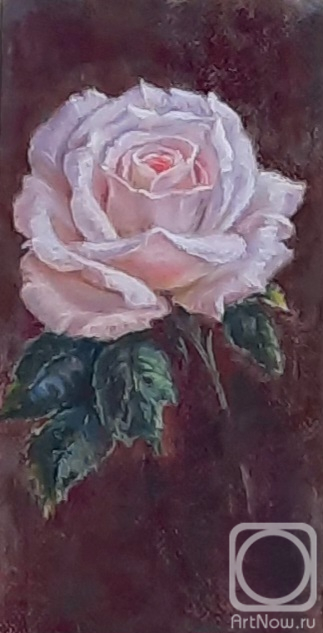 �������. ��������� ������. ������ ����