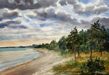 The coast of the White Sea. Polzikova Oksana