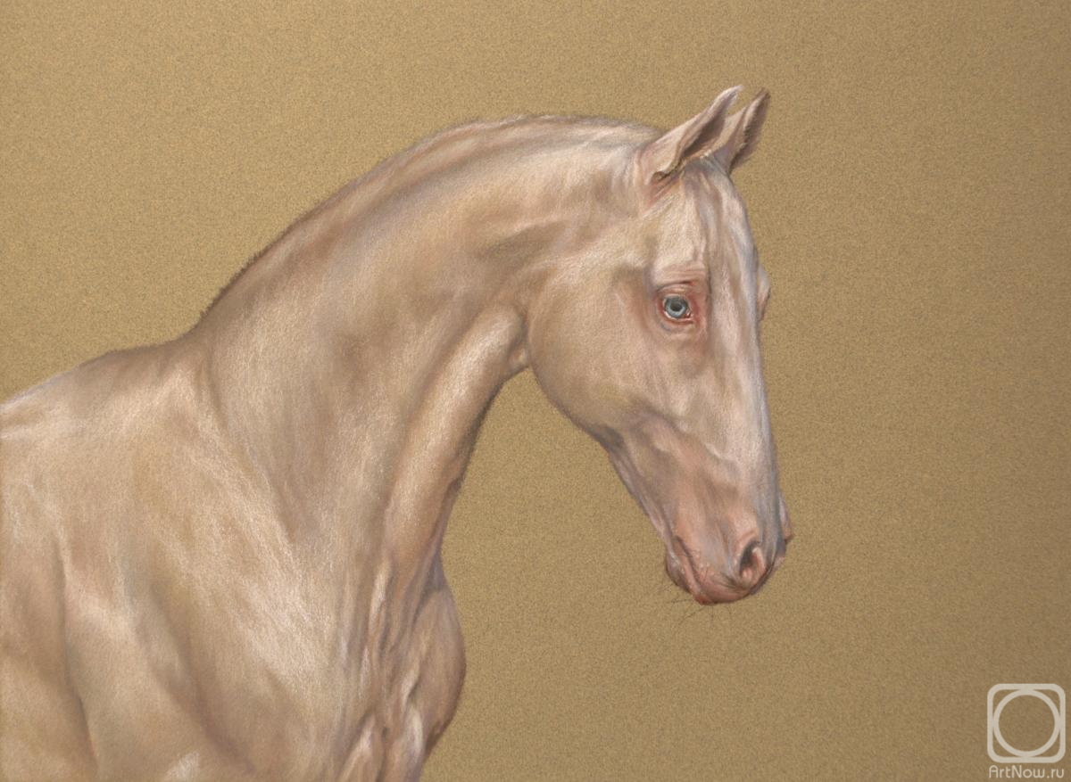 �������. �������� ����. ����������� ����