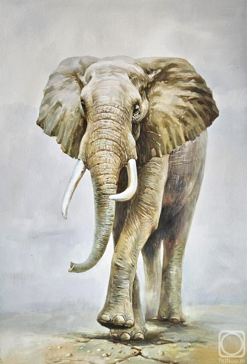 ������� ������ �� ������. ����� �������. ����