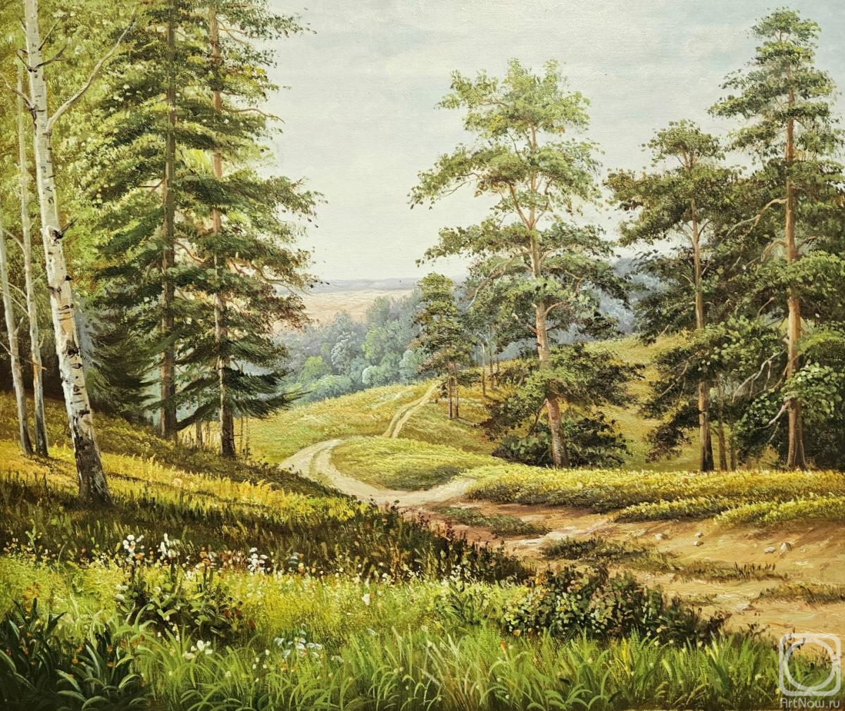 Smorodinov Ruslan. Summer forest