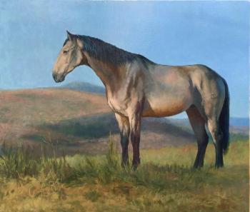 ���� (���� �����). ������� �������