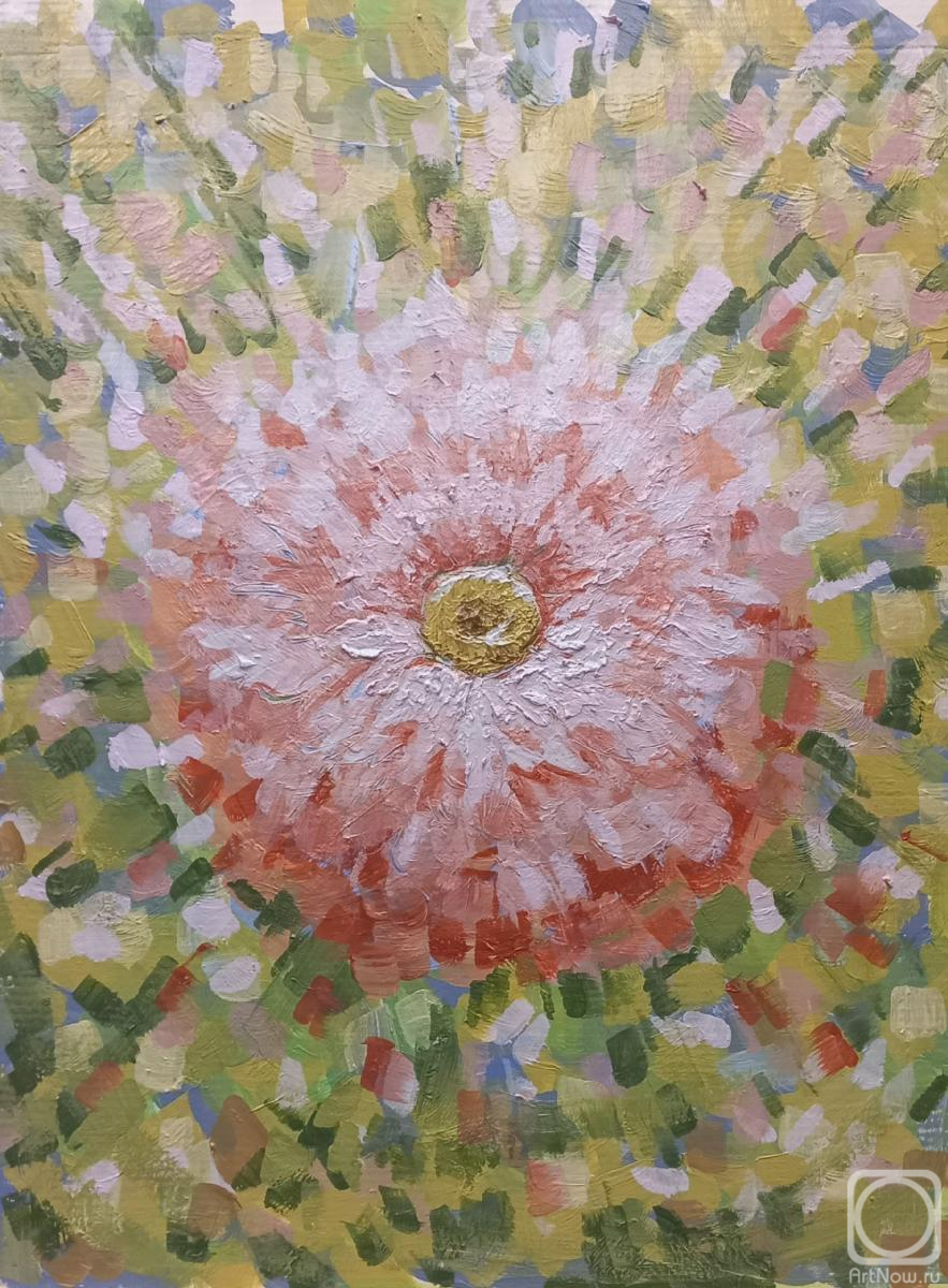 Mityakina Svetlana. Flowering