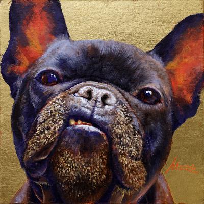 French Bulldog. Mazur Nikolay