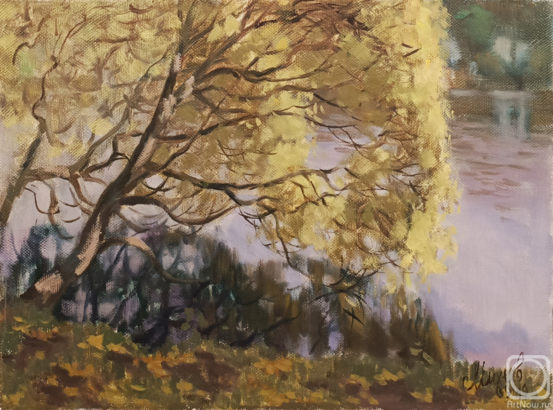 ������� ������ �� ������. ������ ���������. ��� ��� ������