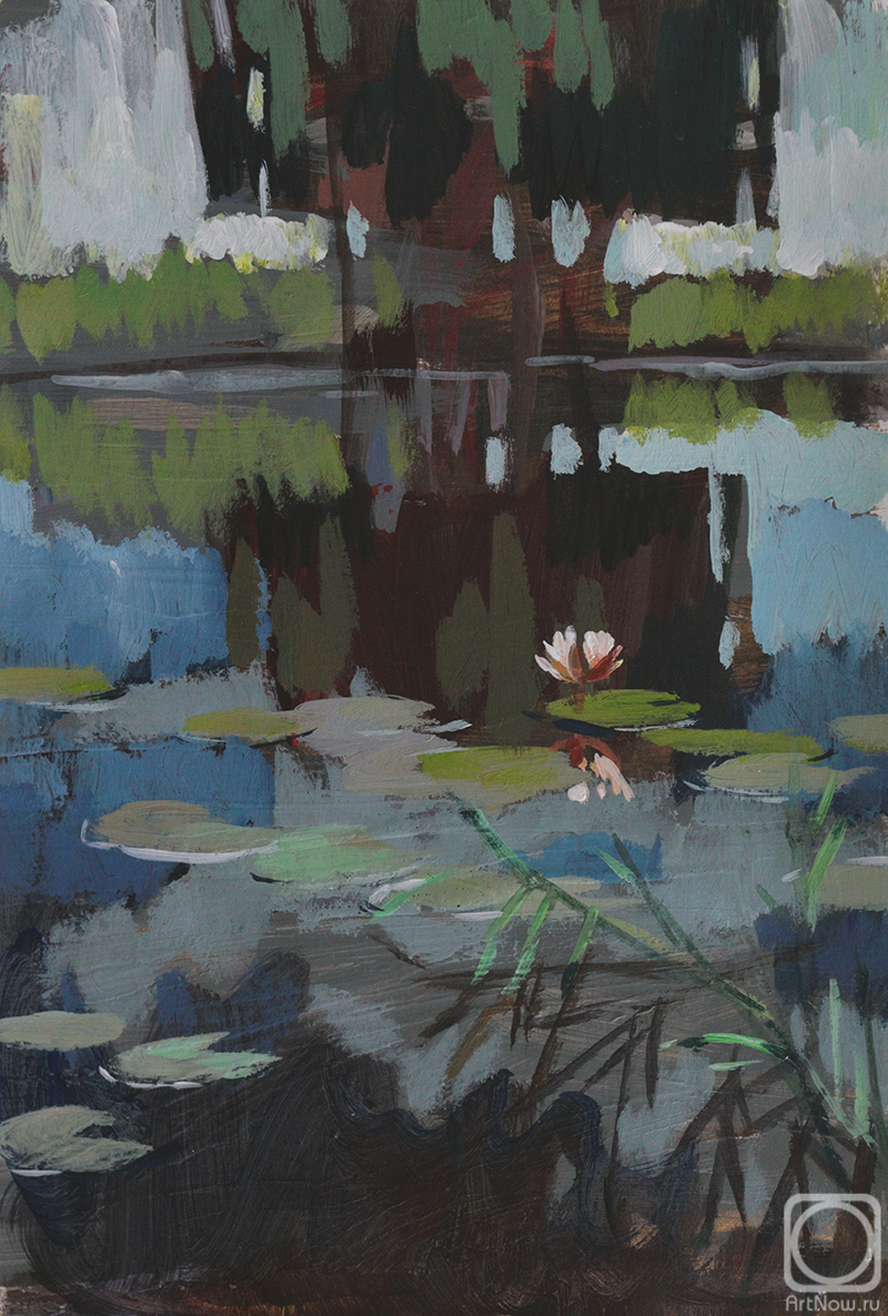 �������. ���� �����. ������ � �����. 2024