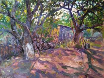 Two old apricots (etude). Voronov Vladimir