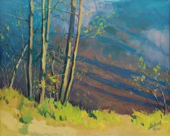 ������� ����� �� ����