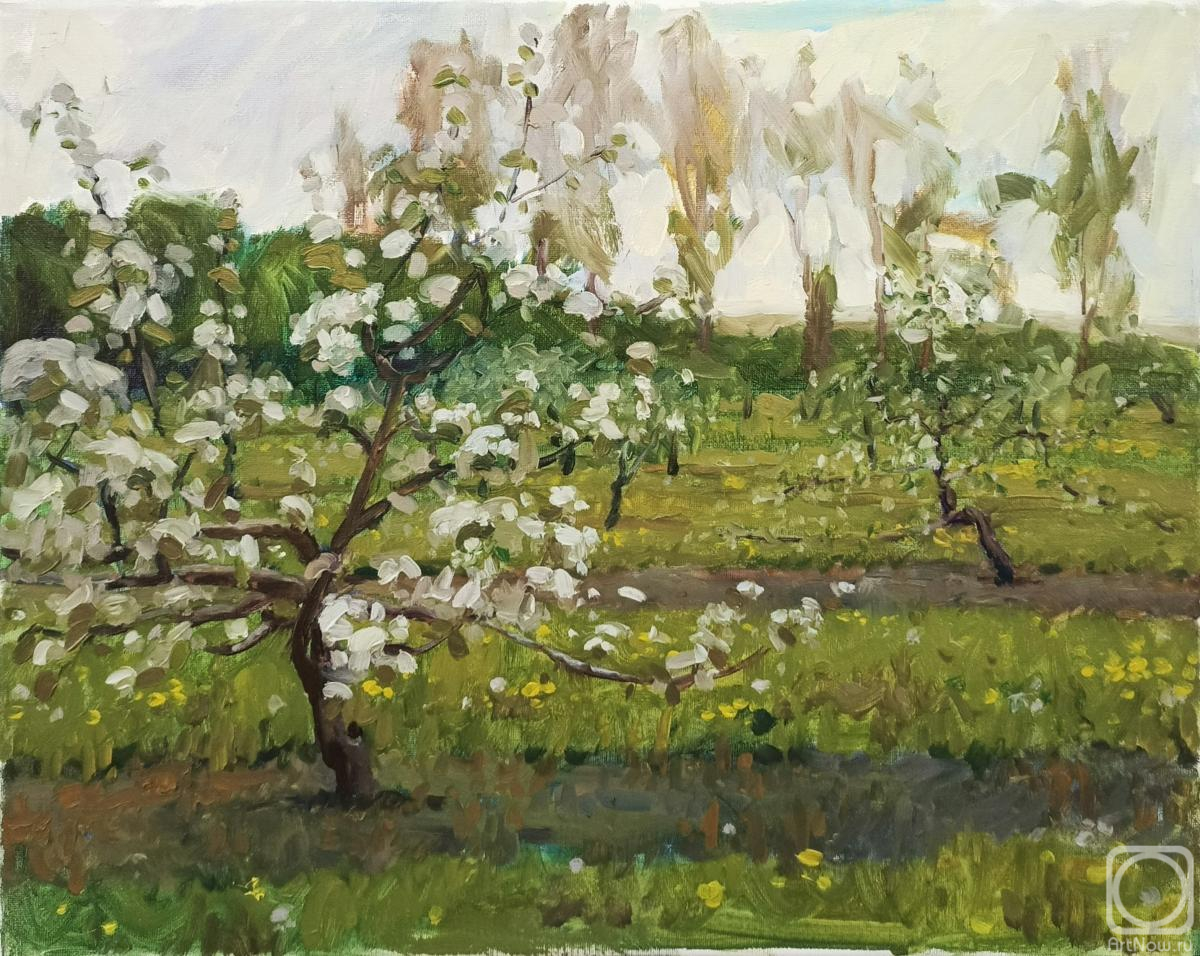 ������� ������ �� ������. ������ ���������. ��������� ���