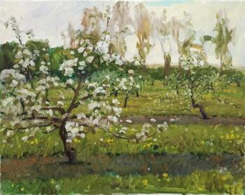 ������� ���������� ���