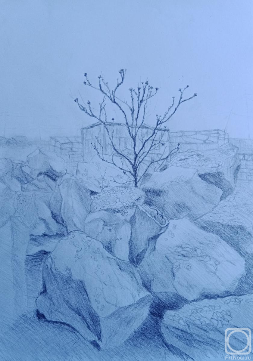 �������. ��������� �������. �������, �������