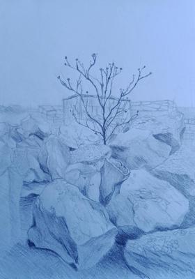 Thistle on the ruins (landscape, Armenia). Rabinovich Lyudmila