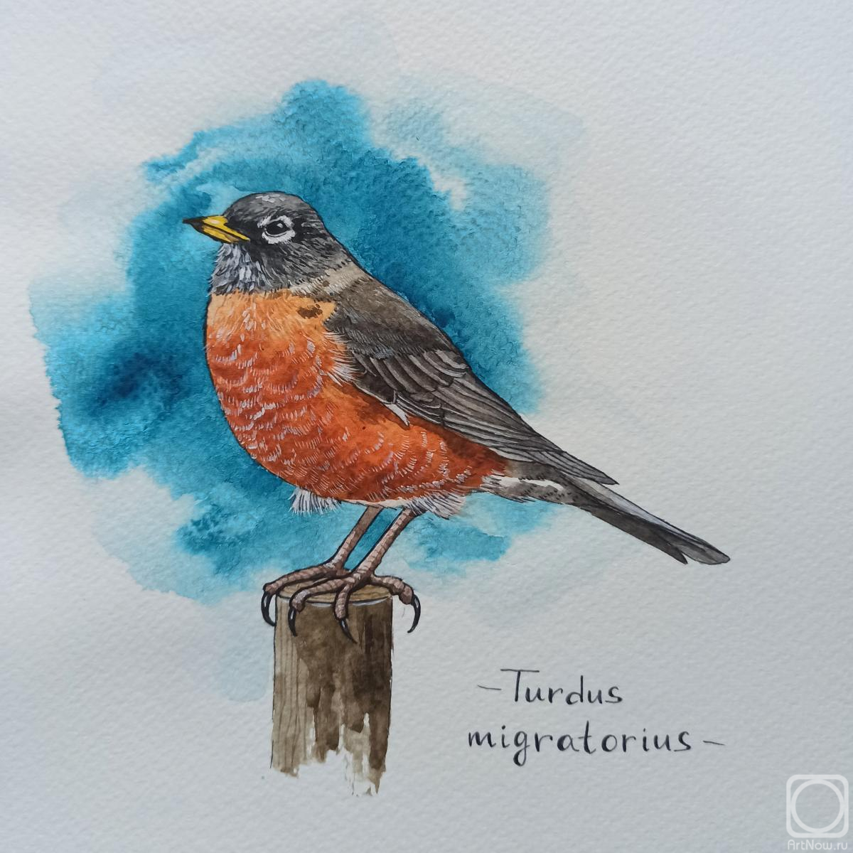 �������. �������� ���������. �����. ������������� �����