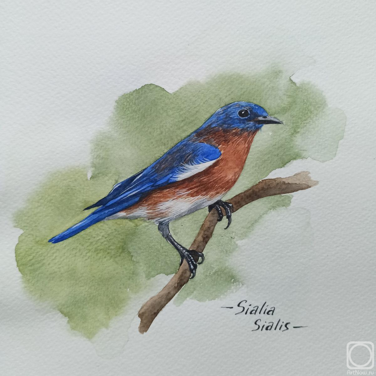 �������. �������� ���������. �����. ��������� ������