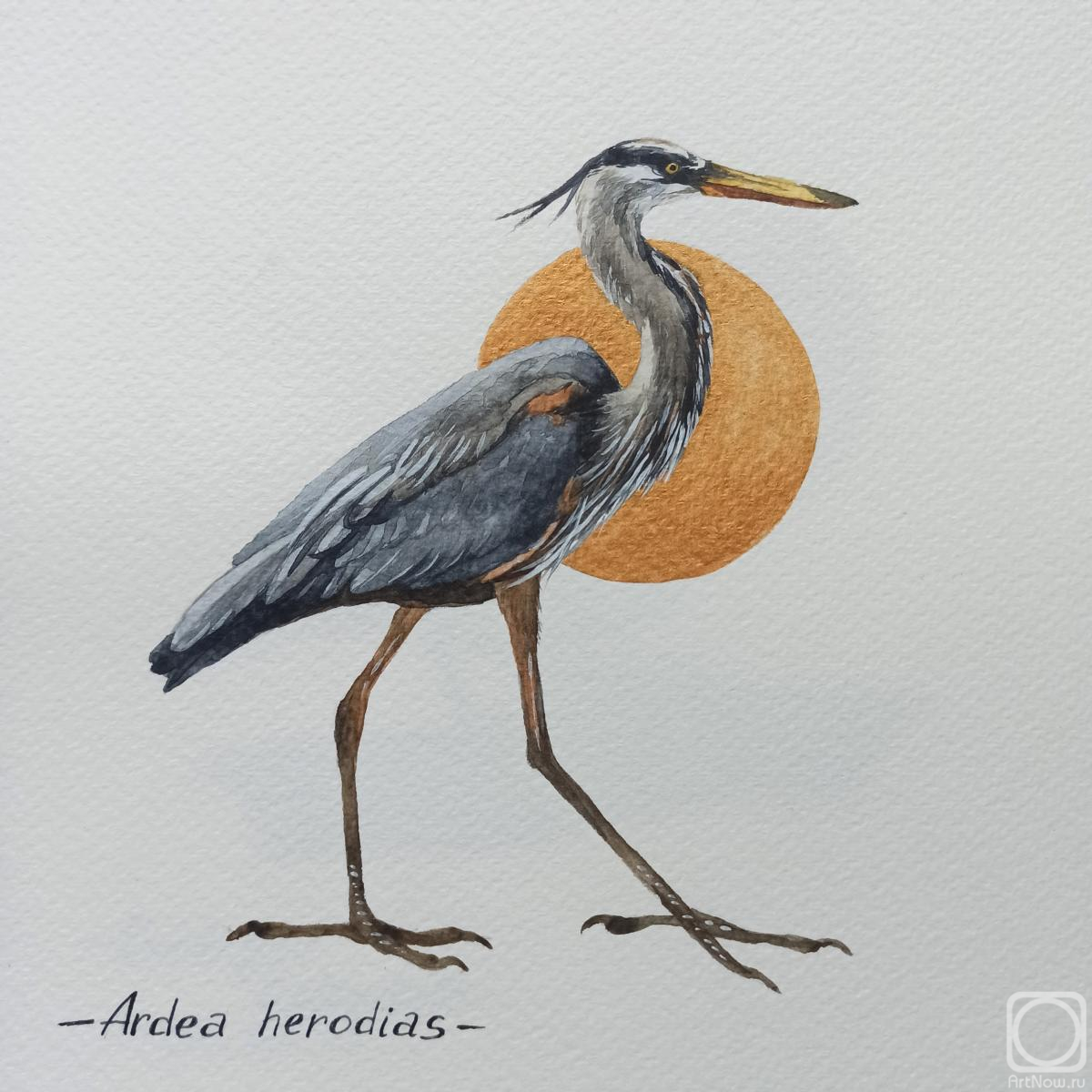 �������. �������� ���������. �����. ������� ������� �����