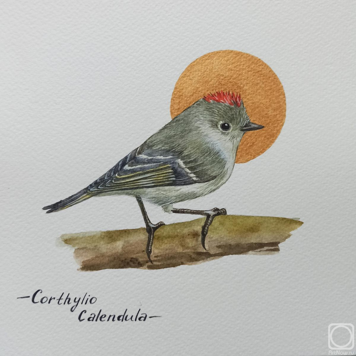 �������. �������� ���������. �����. ������������� �������