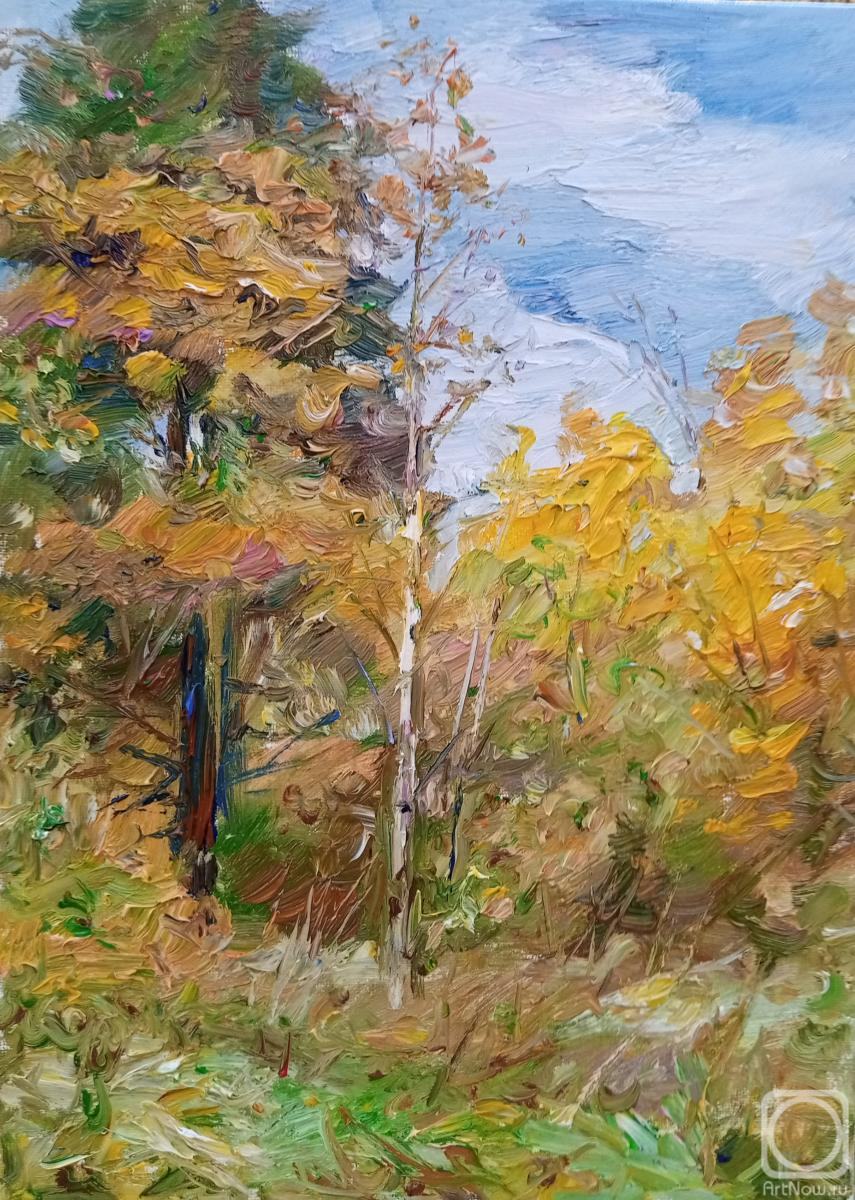 ������� ������ �� ������. �������� ������. ���