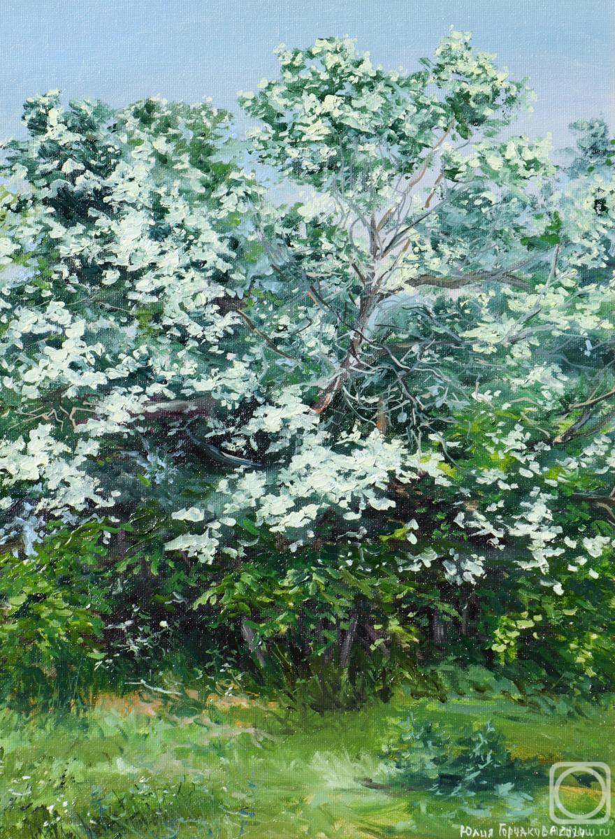 ������� ������ �� ������. ��������� ����. ��������� (����)