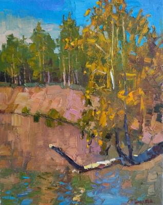 Autumn over the river. Vilkova Elena