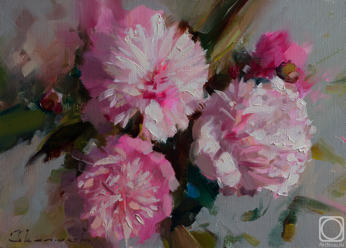 ������� ������ �� ������. ������ �������. ��� �������. �����