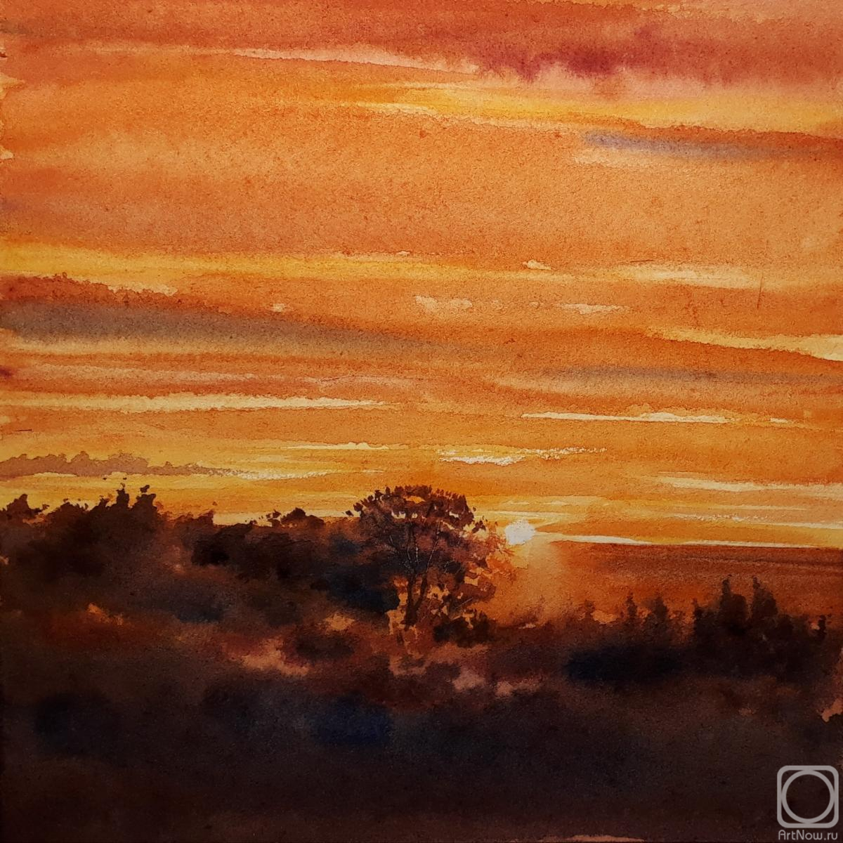 �������. �������� ������. ������� ���� �� ������ ���