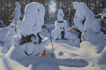 ������� ���������