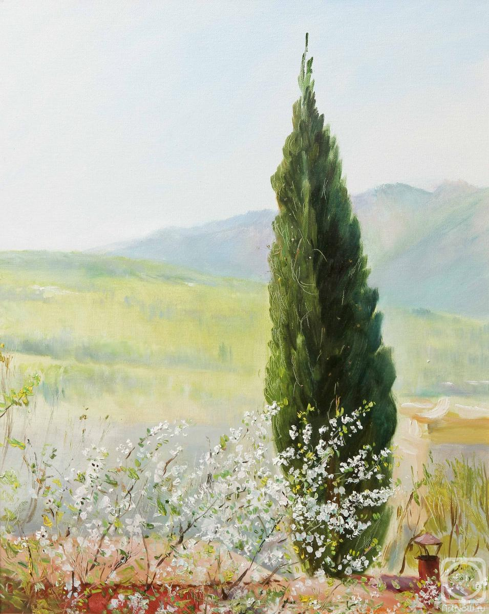 ������� ������ �� ������. ���������� ������. ��������� ���