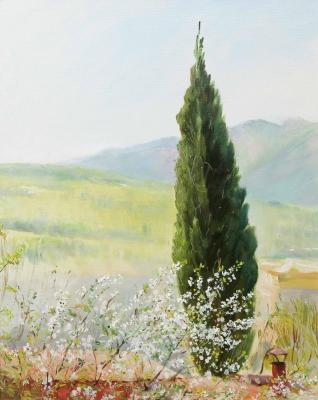 ������� ���������� ���