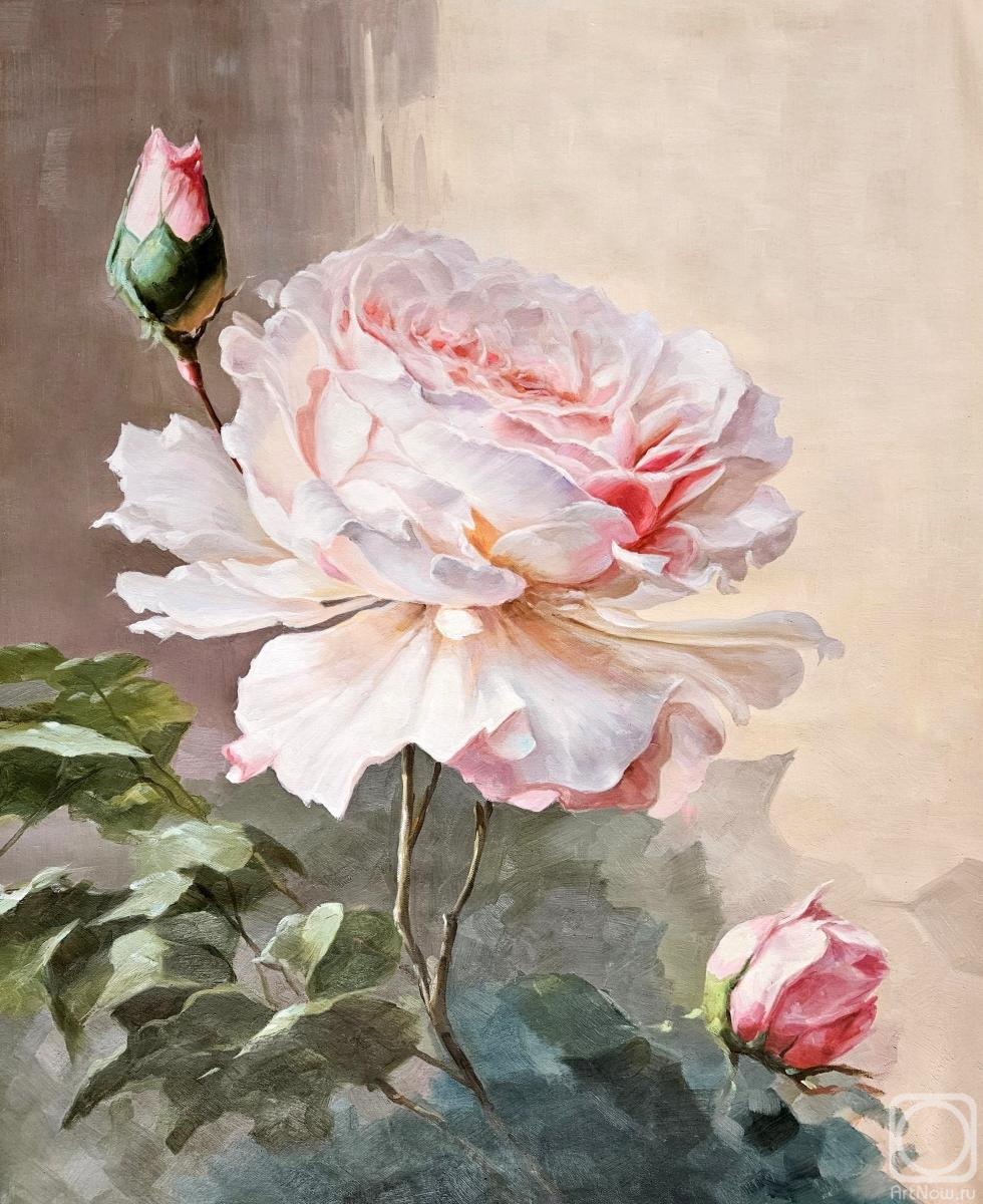 ������� ������ �� ������. ���������� ������. ������ ����