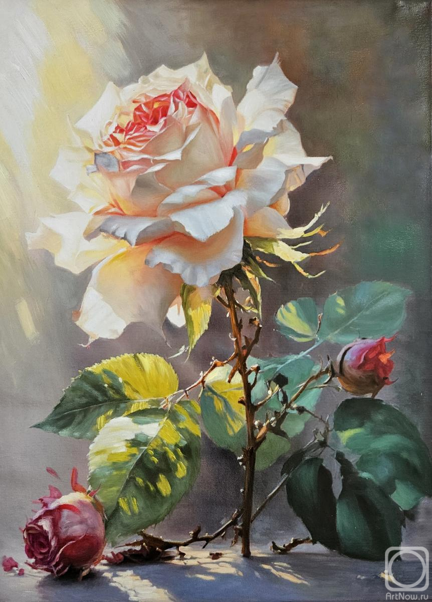 ������� ������ �� ������. ���������� ������. �������� ����