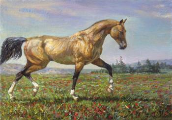 �����������. ���������� �����