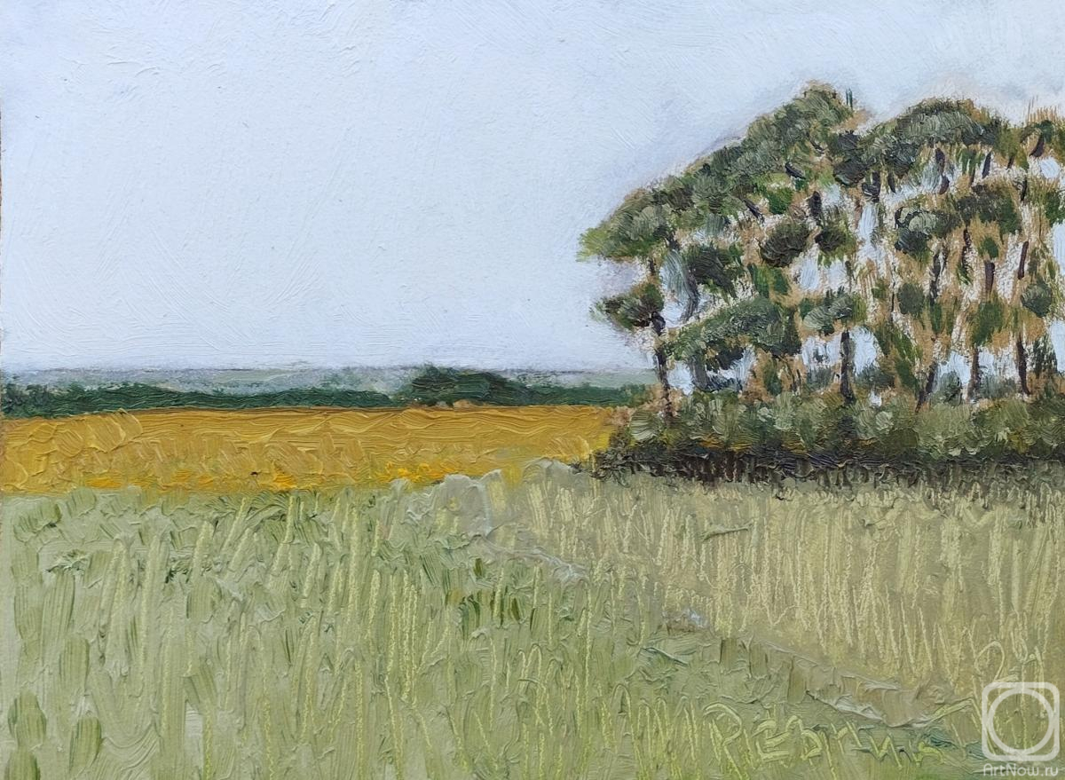 �������. ������ �����. ���� � ��������� ������