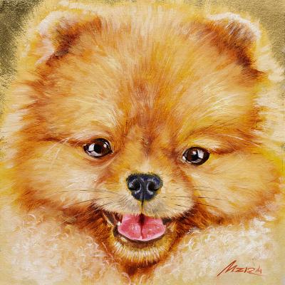 ����������� ����. ����� �������