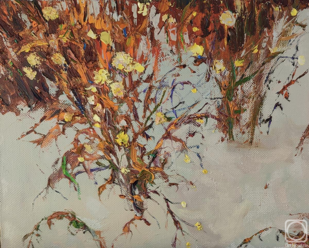 ������� ������ �� ������. ���������� �������. �� �����