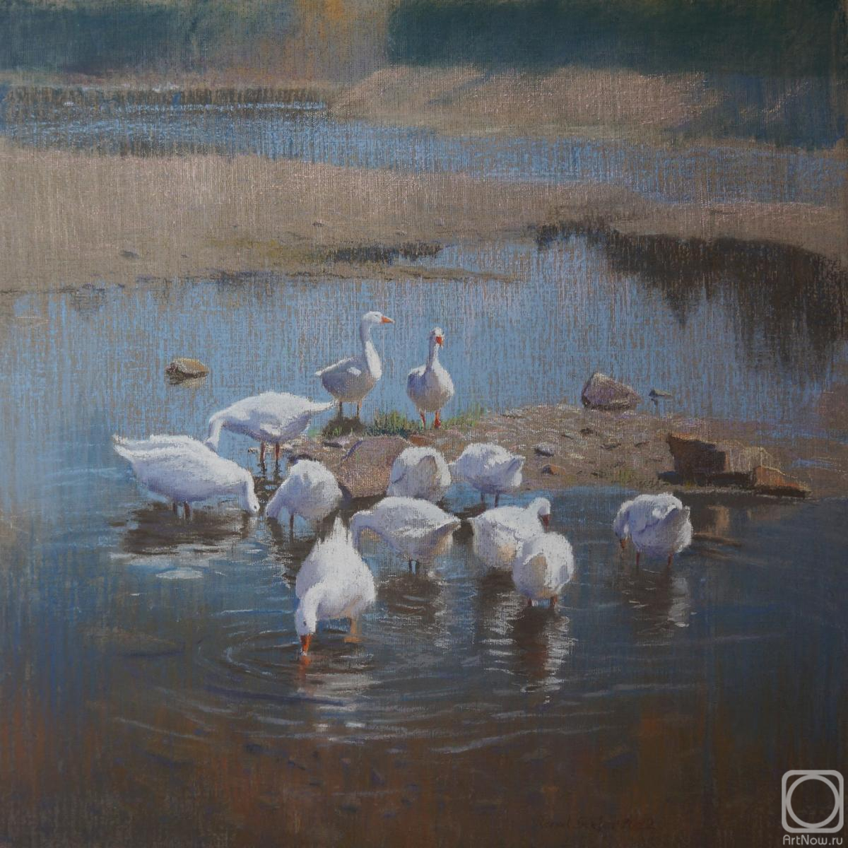 �������. ������ �����. ������ ��������