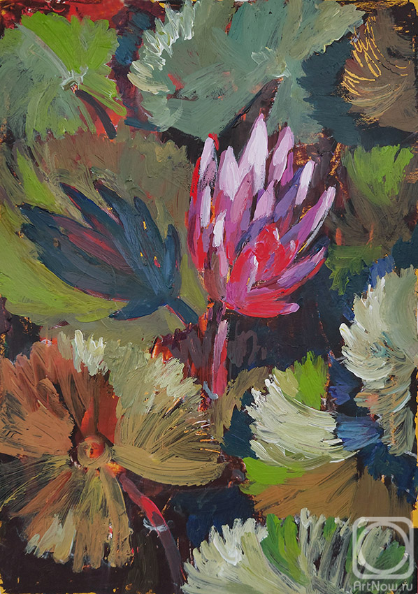 �������. ���� �����. ����� ������. �������. 2024