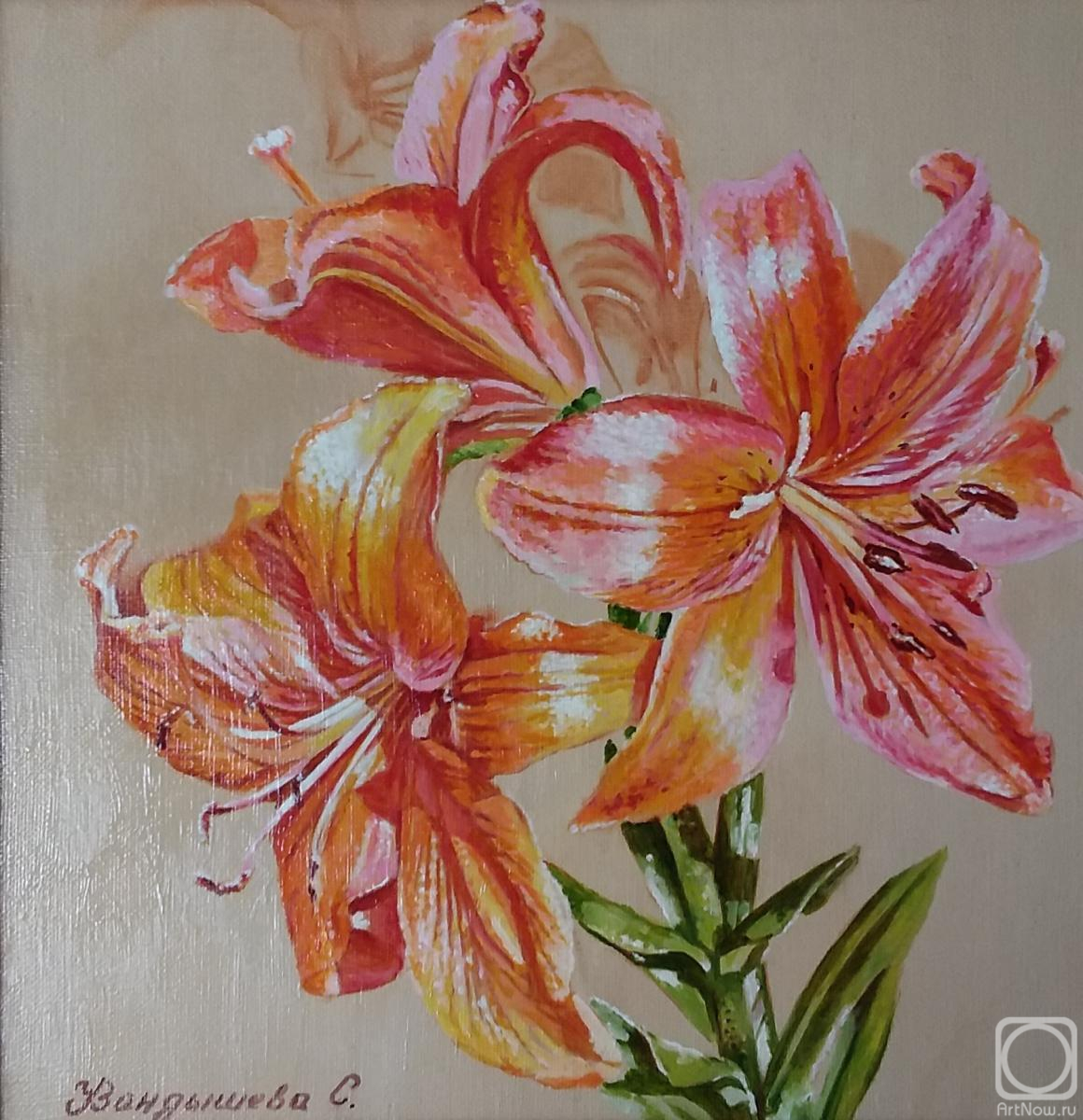 ������� ������ �� ������. ��������� ��������. ��������� �����