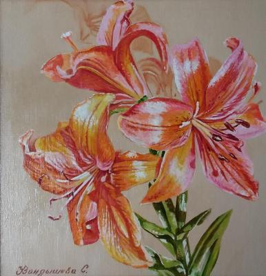 ������� ���������� ������