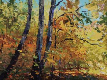 ������ �����. ���������� �������