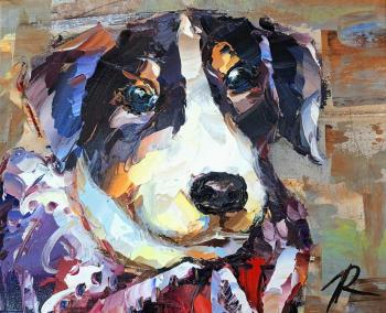 Jack Russell Terrier. Tricolor. Rodries Jose