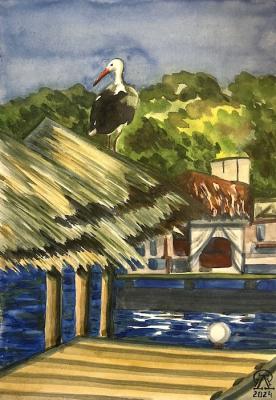 �����. ���� (������� ����). �������� ������