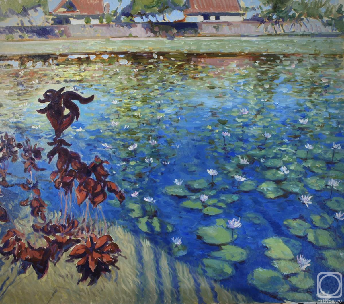 ������� ������ �� ������. �������� �����. �������� ����