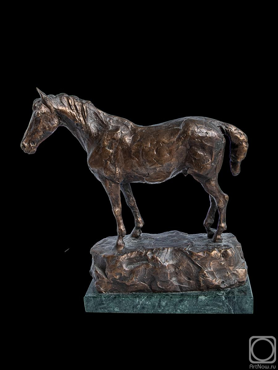 Aminov Davlatyor. Horse