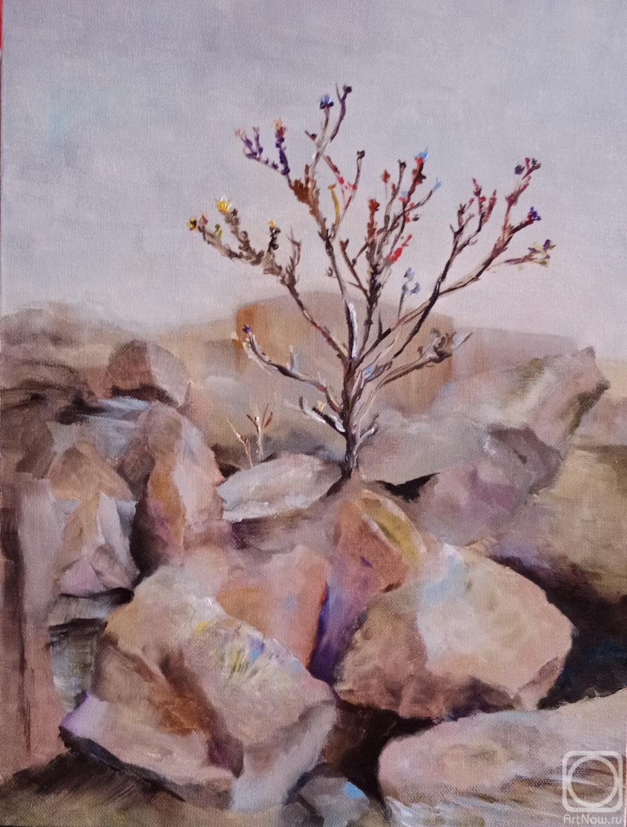 ������� ������ �� ������. ��������� �������. �������, �����