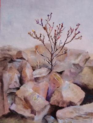 Thistle, study. Rabinovich Lyudmila