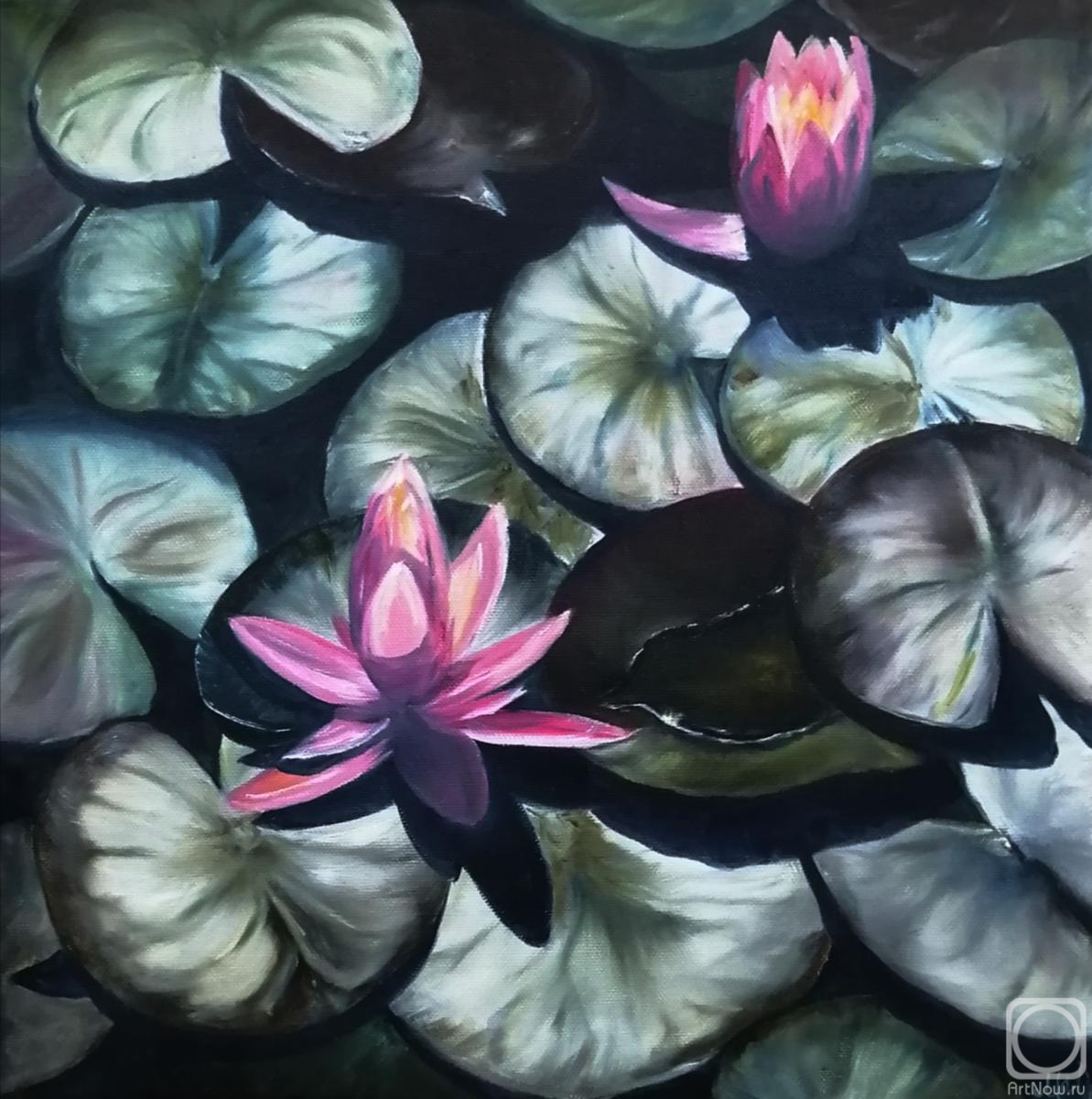 ������� ������ �� ������. ������������ ������. �����, ������� �������