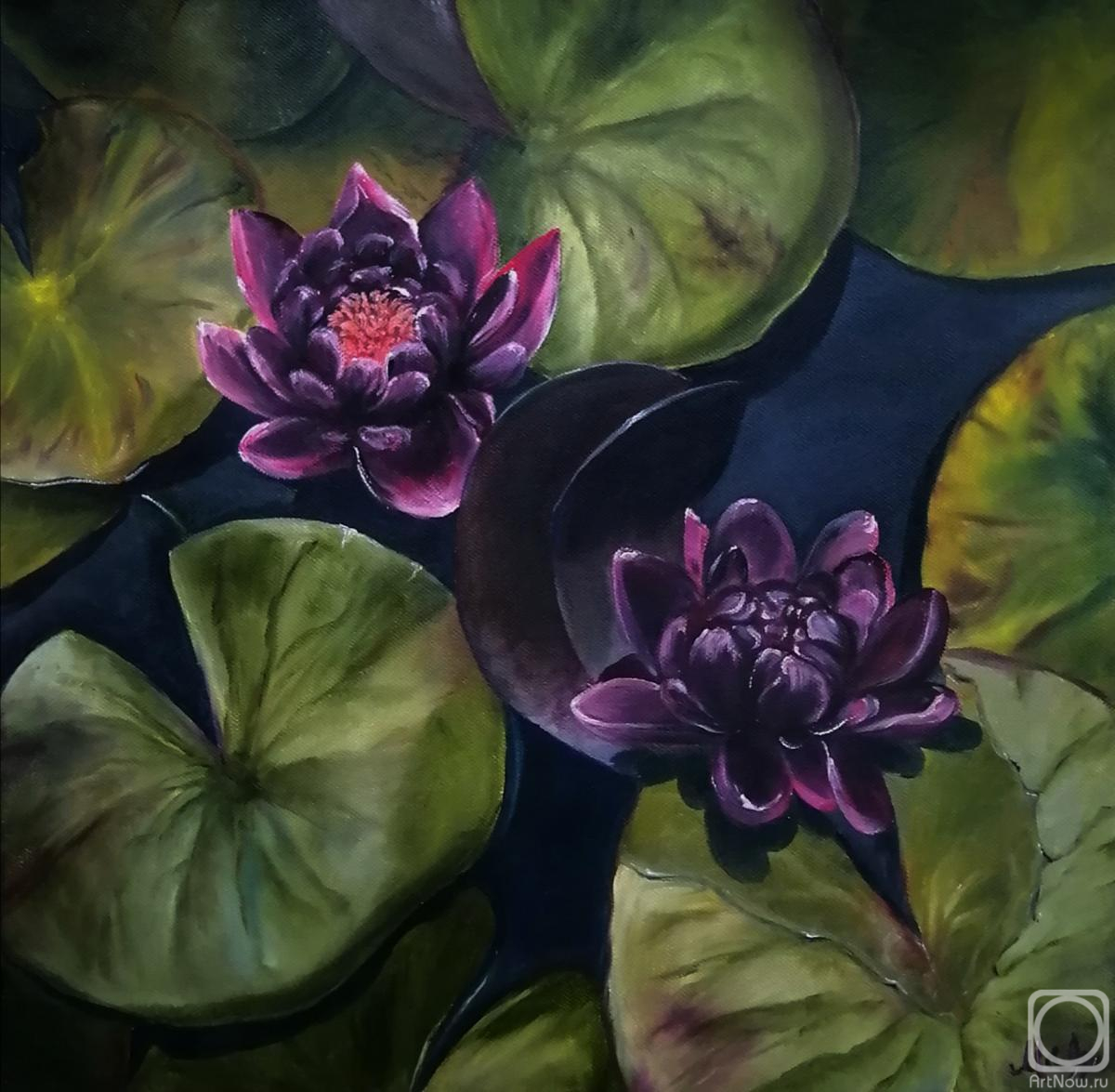 ������� ������ �� ������. ������������ ������. ��� ���������