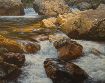 ������� ����� ������ �����