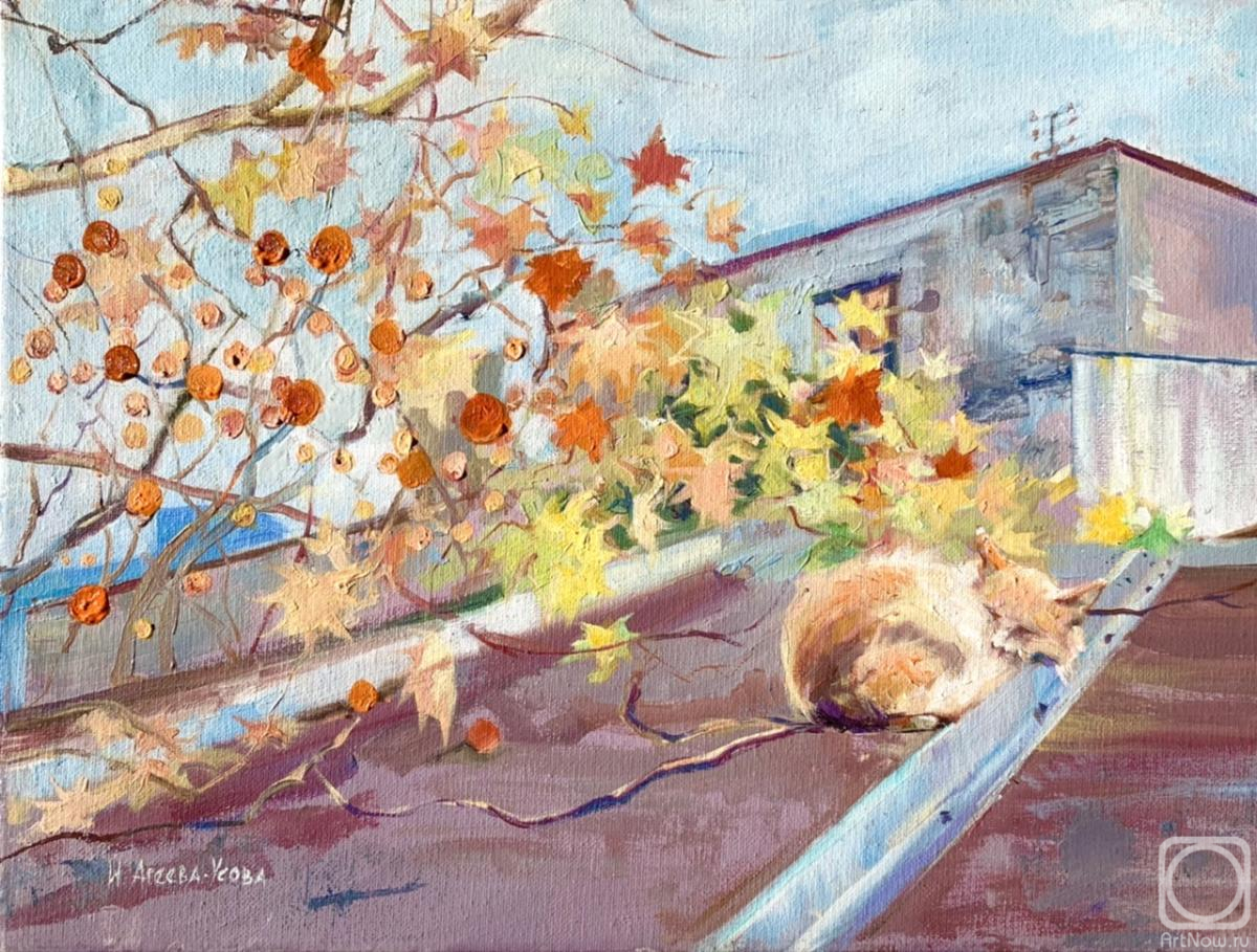 ������� ������ �� ������. ������-����� �����. ����, ����. ����� � ��������