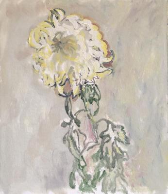 ������� �������� ����� ���������